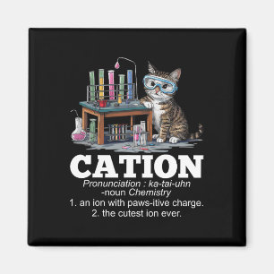 Cation Chemistry Humour Science Teacher Cat Pun Fu Magnet