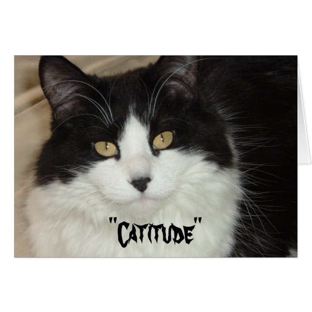 Catitude Cat with an Attitude (Front Horizontal)
