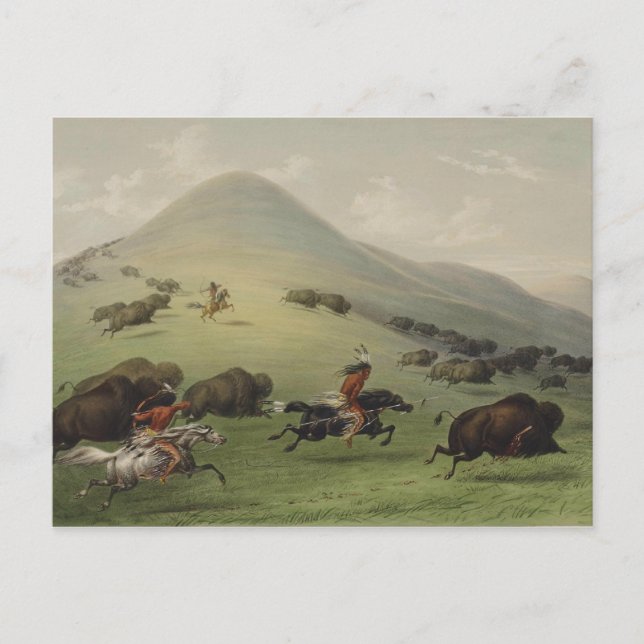 Catlin Native American Art Postcard (Front)