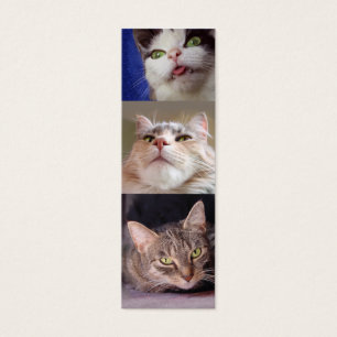 Catlovers' Bookmark