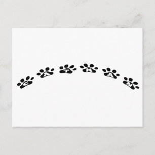 Catman Postcard