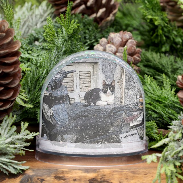 CatMobile/cat on motorcycle seat Snowglobe (Winter)