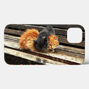 Catnap Cuties iPhone 13 Case