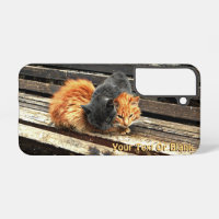 Catnap Cuties Case-Mate iPhone Case