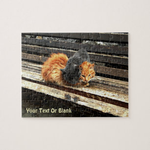 Catnap Cuties Jigsaw Puzzle