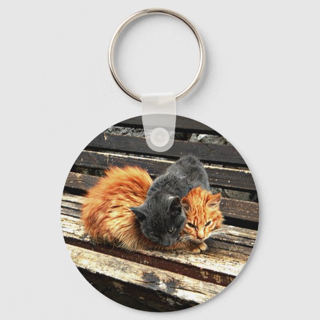 Catnap Cuties Key Ring (Front)