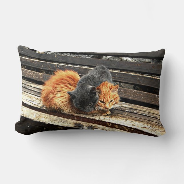 Catnap Cuties Lumbar Cushion (Front)