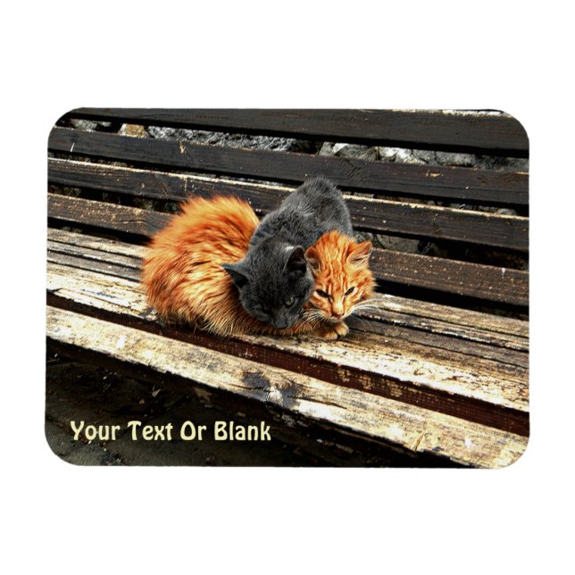 Catnap Cuties Magnet (Horizontal)