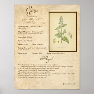 CATNIP MAGICK HERB POSTER