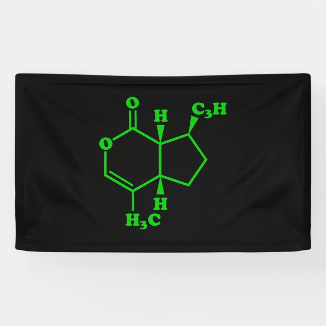 Catnip Nepetalactone Molecular Chemical Formula Banner (Horizontal)