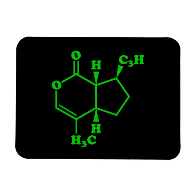Catnip Nepetalactone Molecular Chemical Formula Magnet (Horizontal)