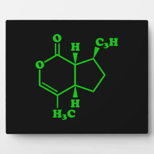 Catnip Nepetalactone Molecular Chemical Formula Plaque