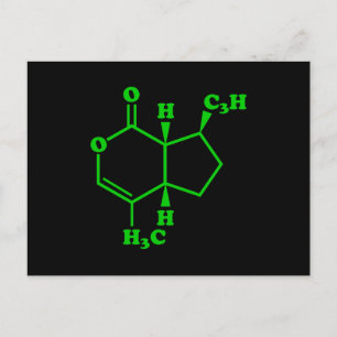 Catnip Nepetalactone Molecular Chemical Formula Postcard