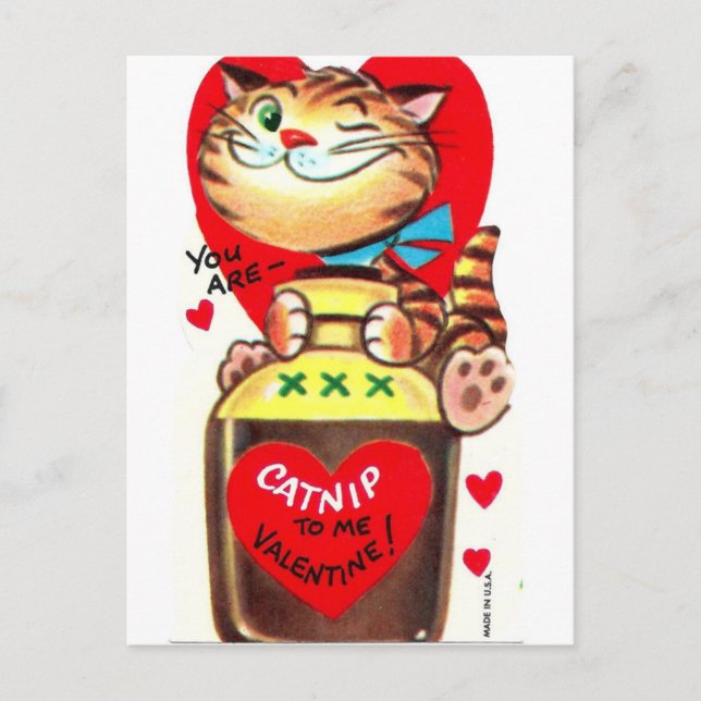 Catnip Vintage Valentine Postcard (Front)