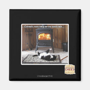 Catnuts roasting magnet
