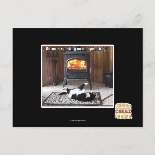 Catnuts roasting postcard (Front)