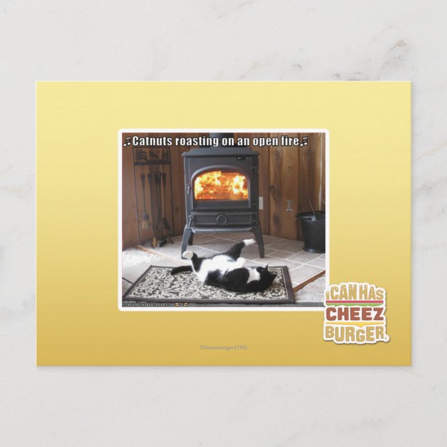 Catnuts roasting postcard (Front)