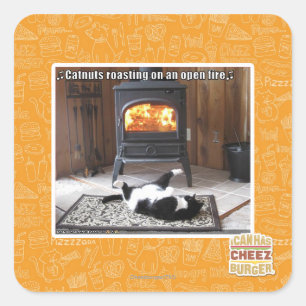 Catnuts roasting square sticker