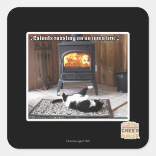 Catnuts roasting square sticker