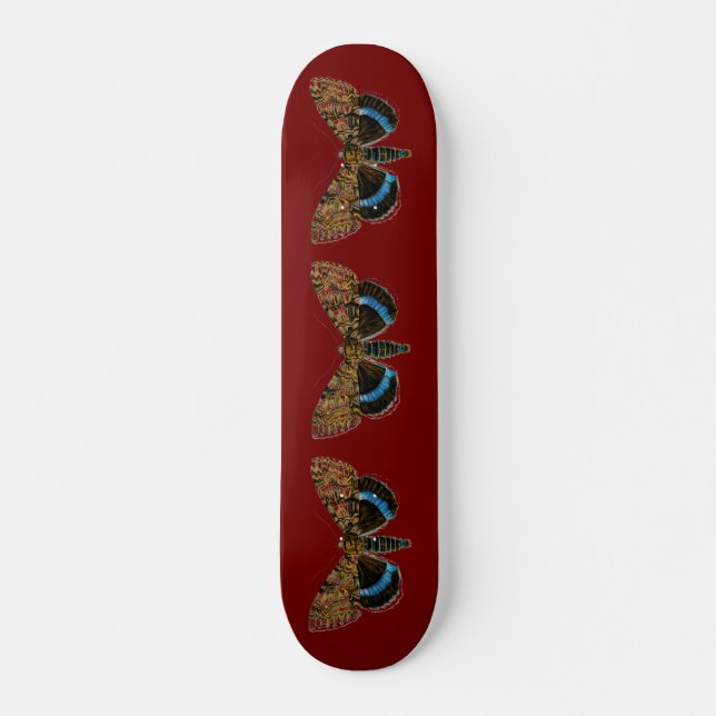 Catocala fraxini skateboard (Front)