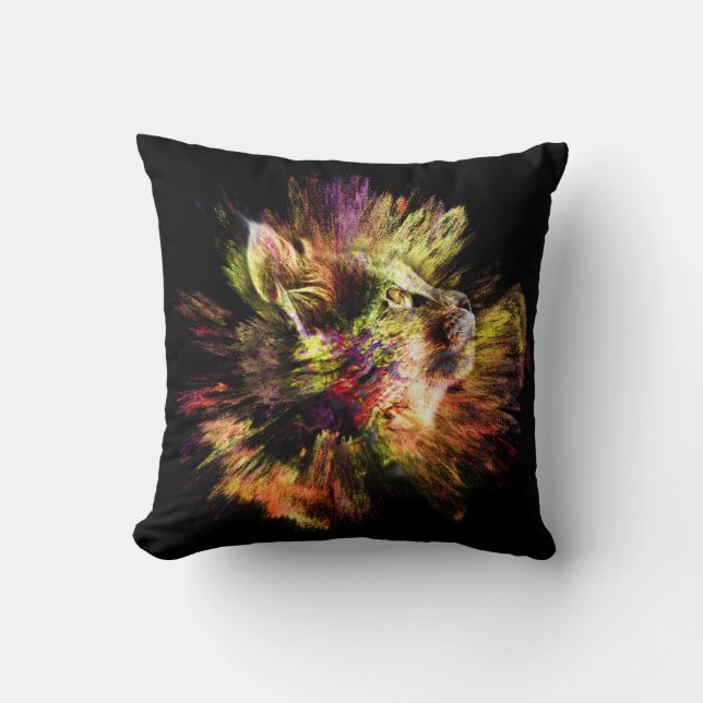 Catplosion Colour explosion with a Kitty Cushion (Front)