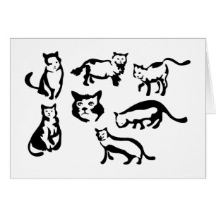 Cats