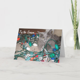 cats 034, Tangled Lights! Holiday Card