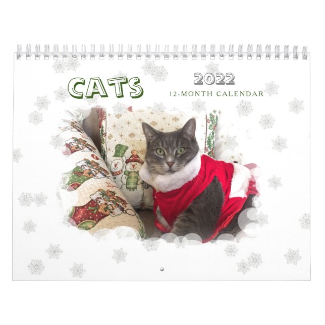 Cats 2022 Calendar (Cover)