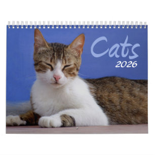 Cats 2026 Photo Calendar
