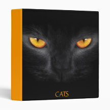 CATS 2