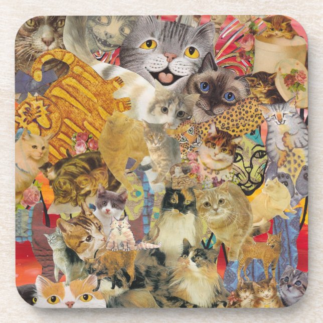 Cats a Plenty Coasters (Front)