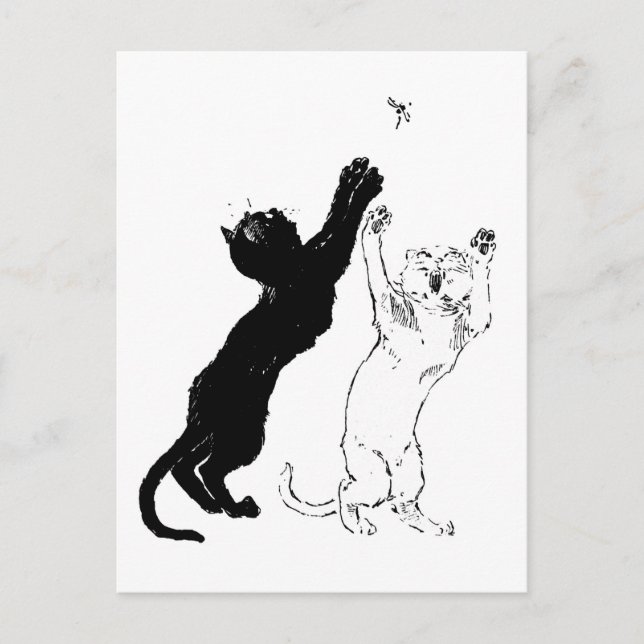 Cats, Alexandre Steinlen Postcard (Front)