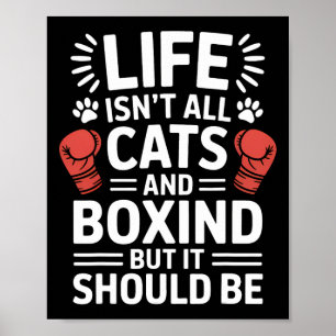 Cats And Boxing Funny Boxing  Poster
