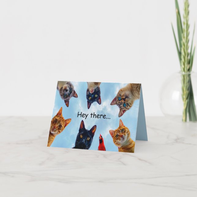 Cats and Cardinal Birthday Card (Front)