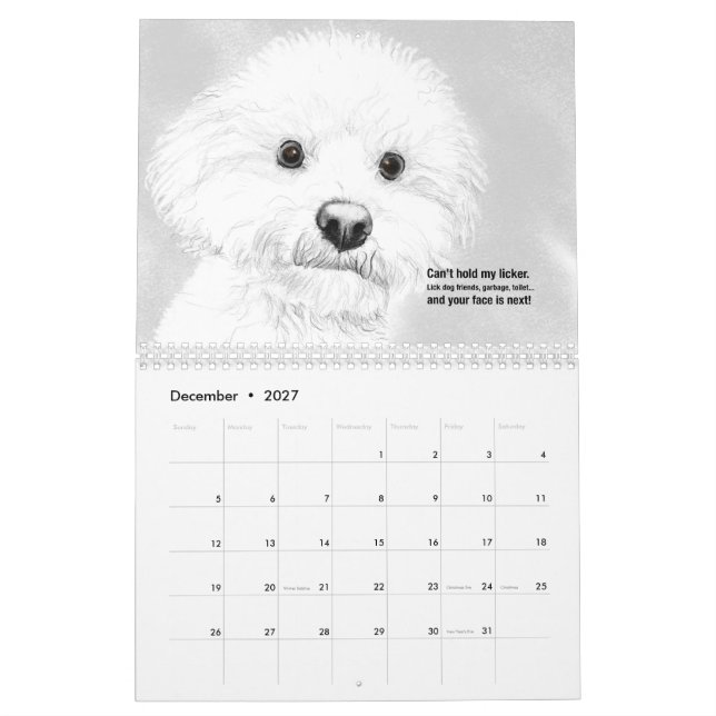 Cats and Dogs 2021 Haiku Calendar (Dec 2027)