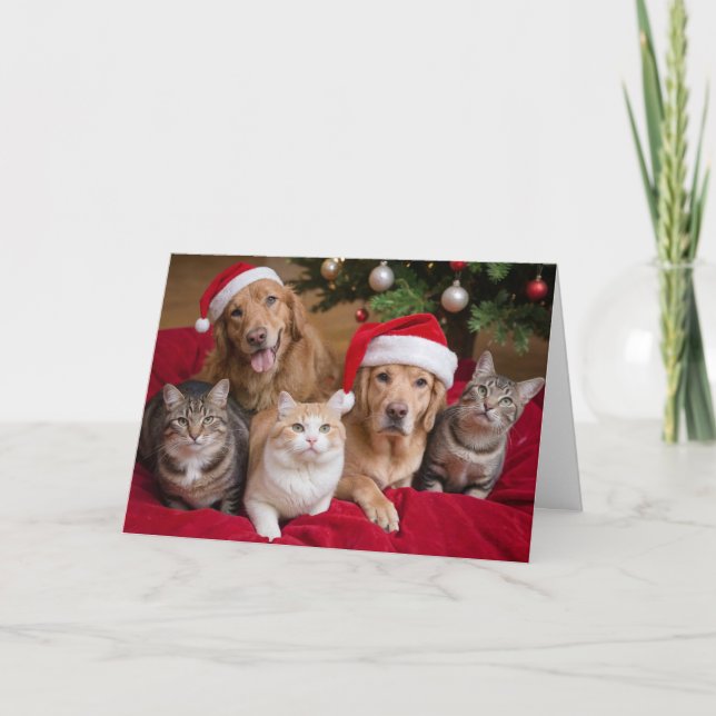 Cats and Dogs Christmas Folded Greeting Card (Front)