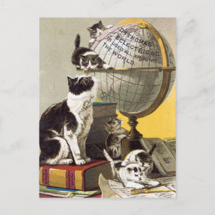 Cats and Globe Postcard