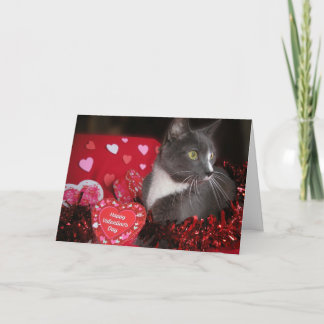 "Cats and Kisses" Card