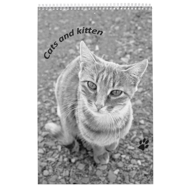 Cats and kitten - black and white  calendar (Cover)