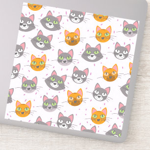 Cats and Kittens