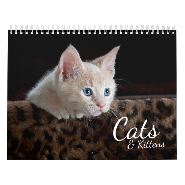 Cats and Kittens Pet Photo Calendar (Cover)