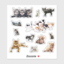 Cats and kittens photos set contour