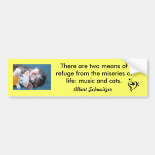 Cats and Music Bumper Sticker