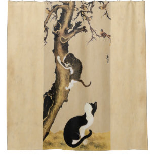 Cats and Sparrows Shower Curtain