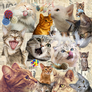 Cats and Toys Collage Tote Bag