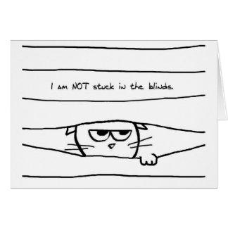 Cats and window blinds - Funny Cat Card