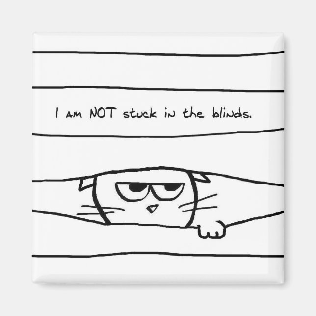 Cats and window blinds - Funny Cat Magnet (Front)