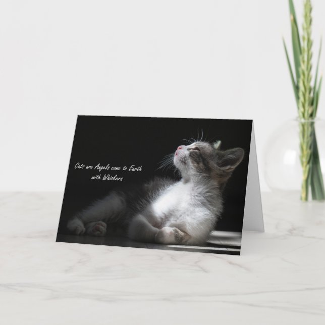 Cats are Angels come to Earth, notecard (Front)