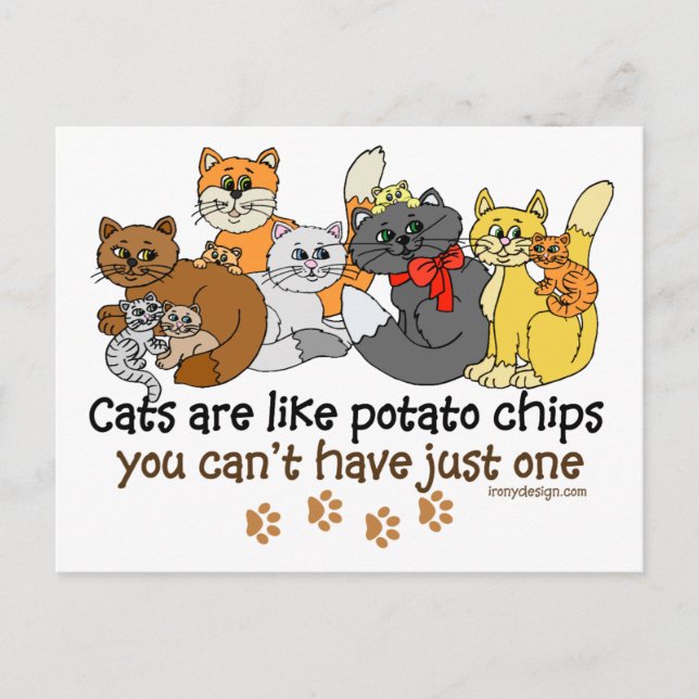 Cats are like potato chips postcard (Front)