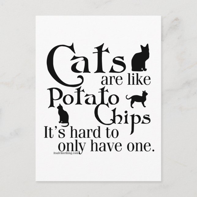 Cats are like potato chips... postcard (Front)